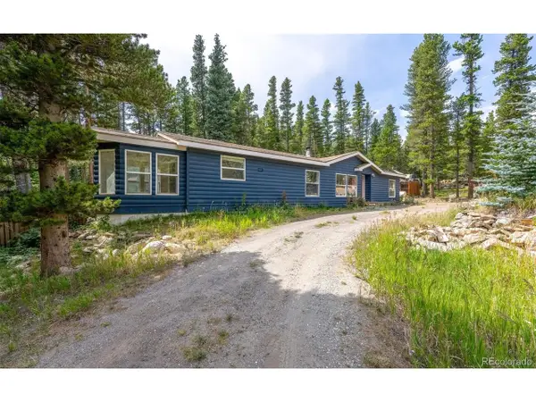 865 Silver Creek Rd, Idaho Springs, CO 80452