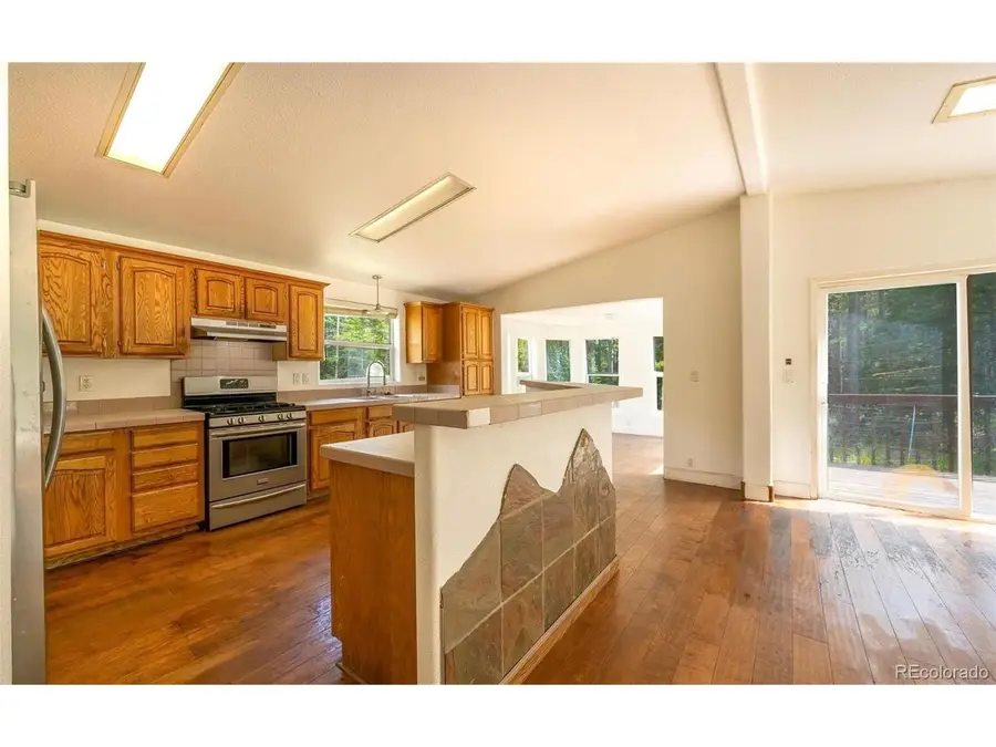 865 Silver Creek Rd, Idaho Springs, CO 80452 - #3