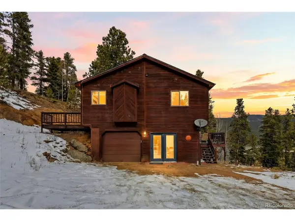 610 Gold Flake Ter, Bailey, CO 80421