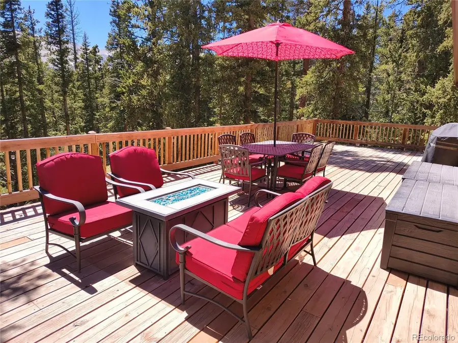 226 Pine Cone Way, Fairplay, CO 80440 - #3