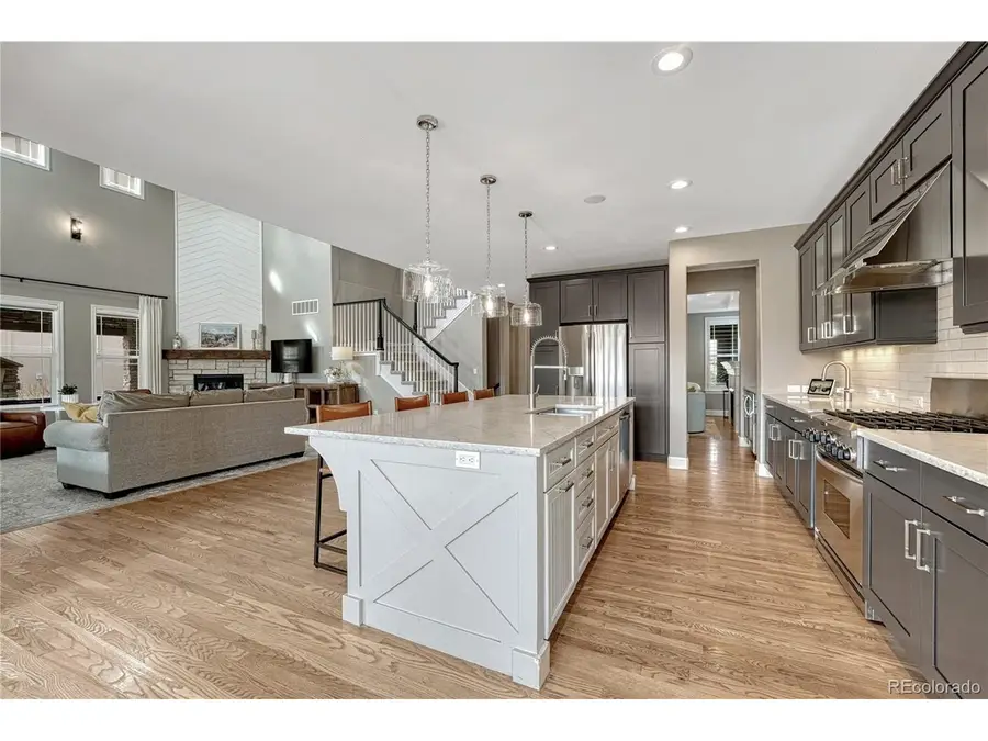 10482 Marigold Ct, Highlands Ranch, CO 80126 - #3