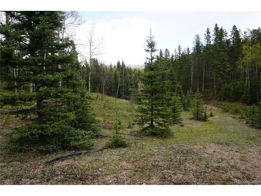 Vacant Land, Cripple Creek, CO 80813 - #2