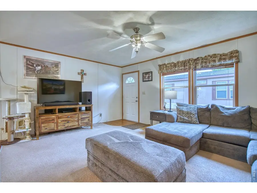 4586 Tilbury Ct #345, Firestone, CO 80504 - #3