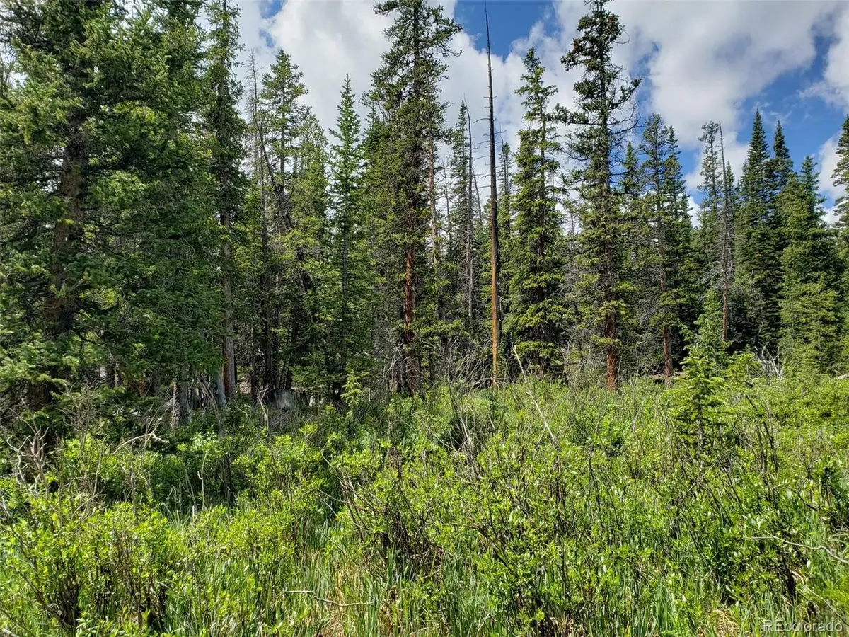 585 Porcupine Rd, Fairplay, CO 80440 - #1