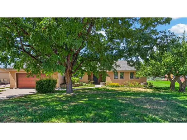 259 Willow Creek Trl, Parachute, CO 81635