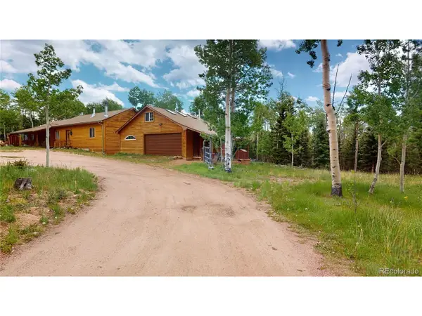 1011 Castle Ridge Vw, Cripple Creek, CO 80813