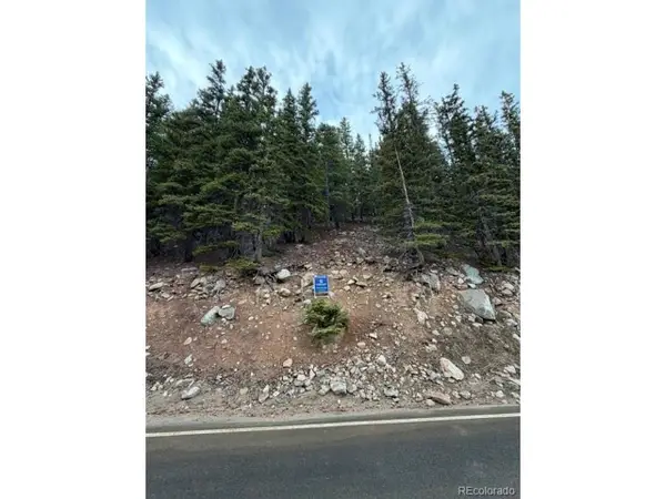 9208 Fall River Rd, Idaho Springs, CO 80452