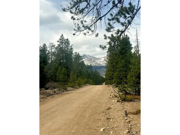 105 Fir Dr, Leadville, CO 80461