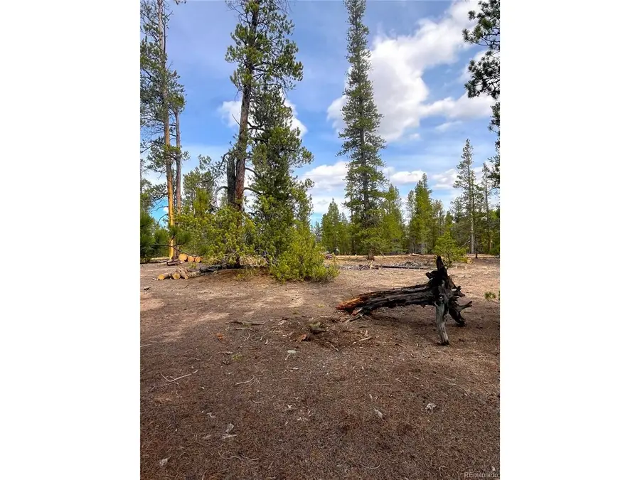 105 Fir Dr, Leadville, CO 80461 - #2