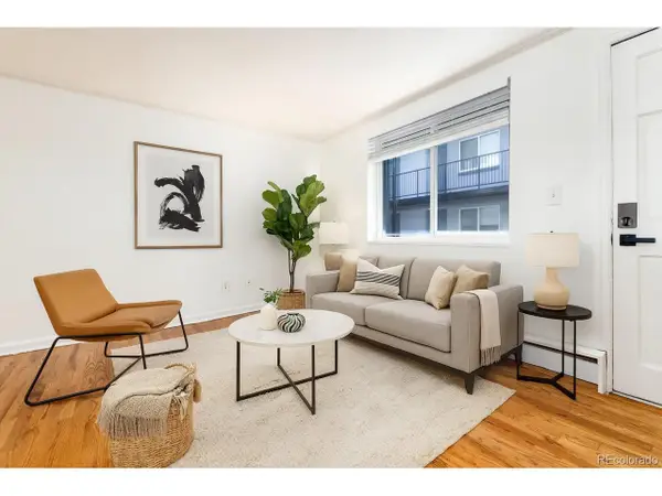 336 N Grant St #303, Denver, CO 80203