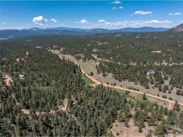 1676 Pathfinder Rd, Florissant, CO 80816