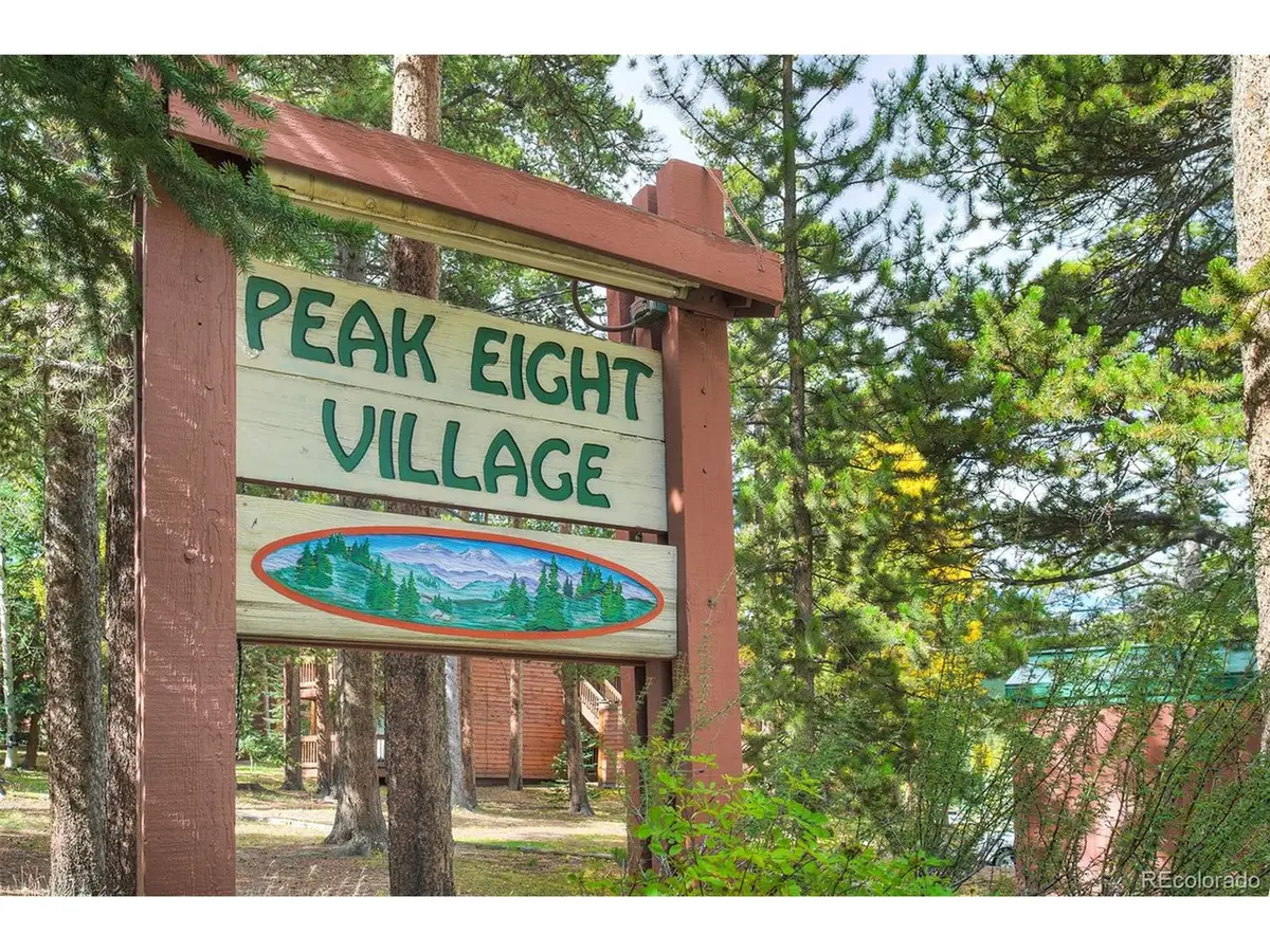 1080 Ski Hill Rd #9, Breckenridge, CO 80424 - Image #1