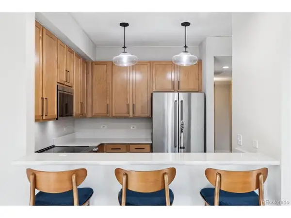 1699 N Downing St #309, Denver, CO 80218