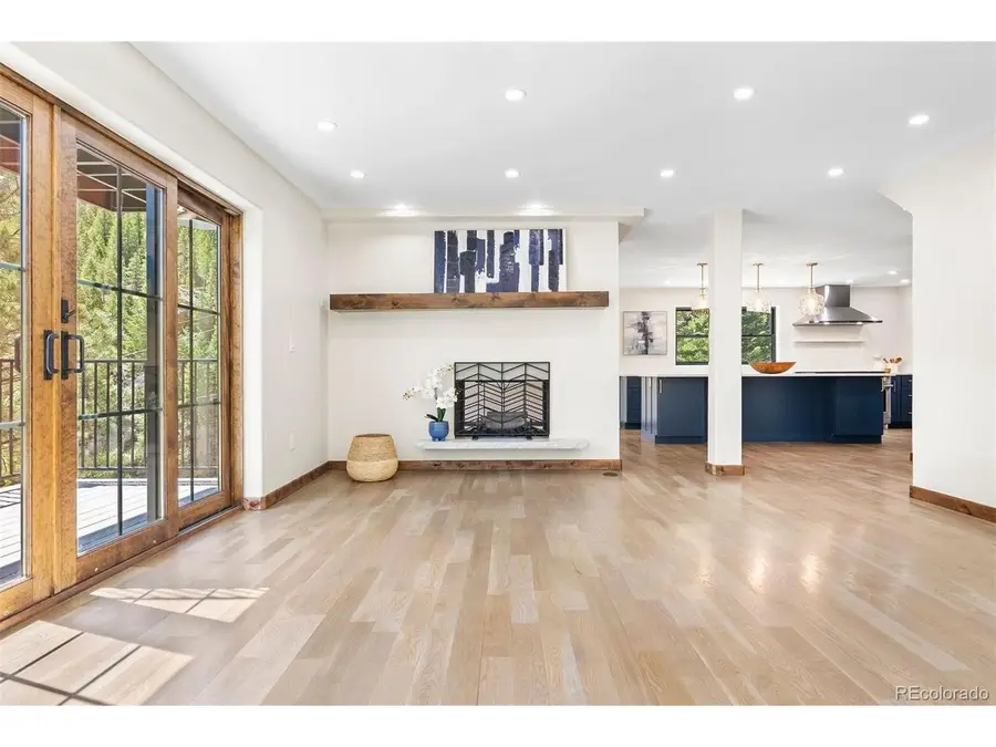 205 Loop Dr, Georgetown, CO 80444 - Image #3