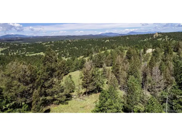 235 Hay Creek Rd, Florissant, CO 80816