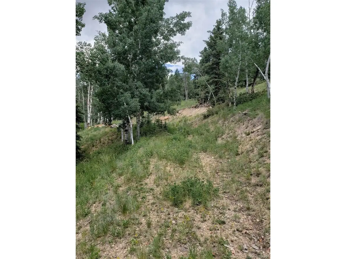 10th St, Jasper, CO 81144 - #1