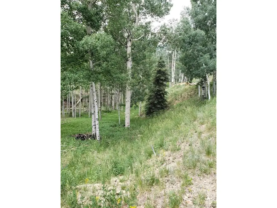 10th St, Jasper, CO 81144 - #2