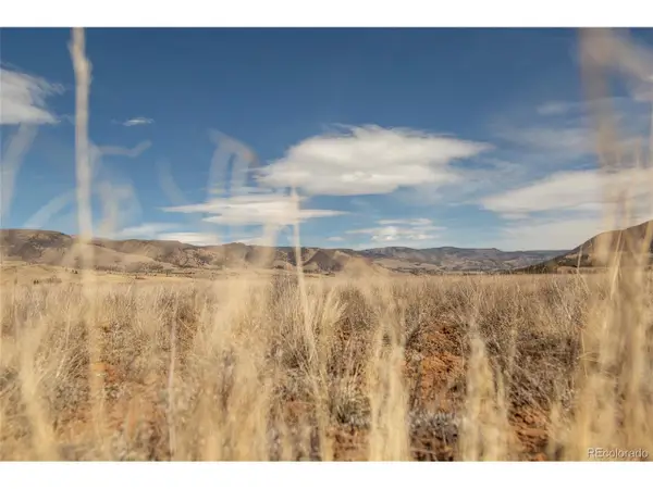 4000 Vista Grande Dr, Creede, CO 81130