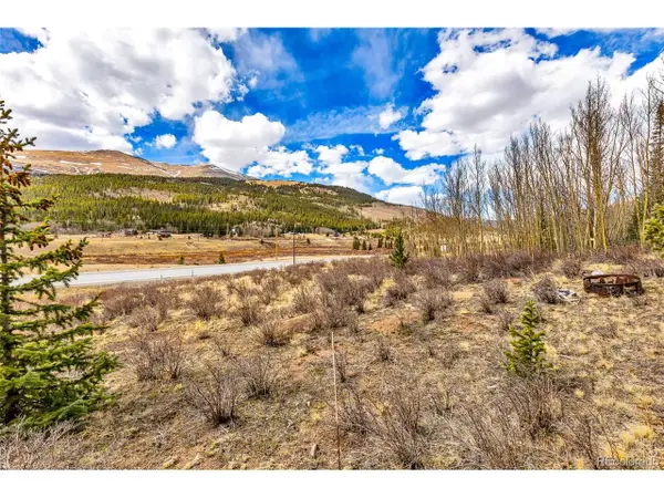 55780 Highway 9, Alma, CO 80440