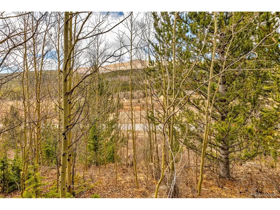 55780 Highway 9, Alma, CO 80440 - #3