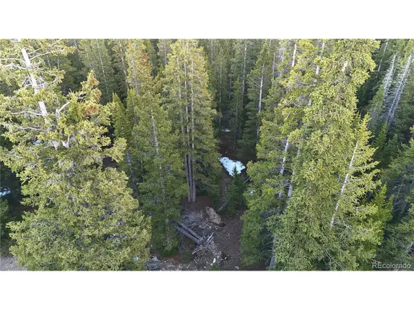 252 Silverheels Pl, Fairplay, CO 80440