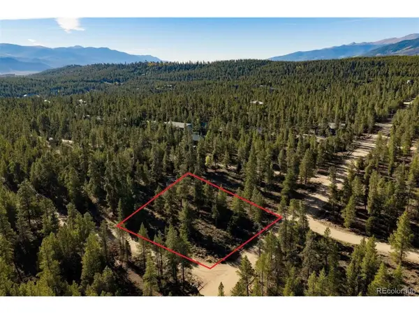 454 Spruce Dr, Leadville, CO 80461
