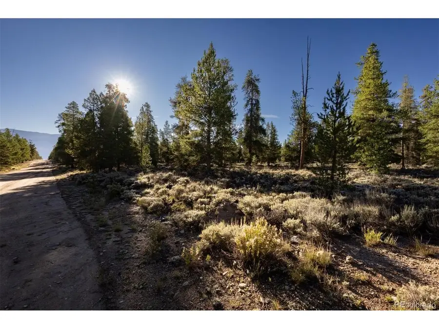 454 Spruce Dr, Leadville, CO 80461 - #2
