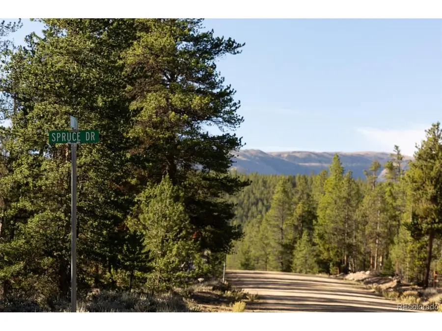 454 Spruce Dr, Leadville, CO 80461 - #3