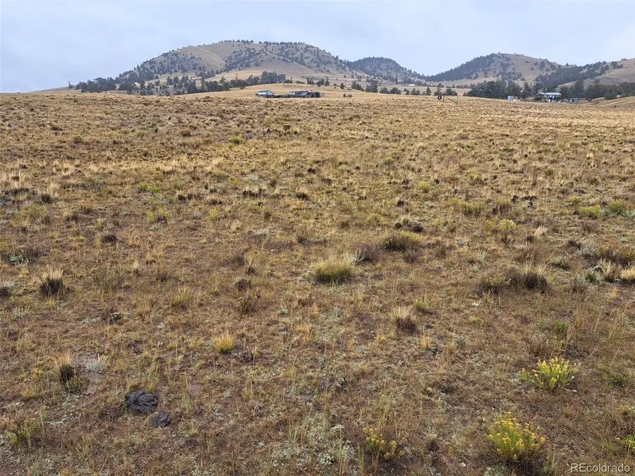 318 Basin View Rd, Como, CO 80432 - #3