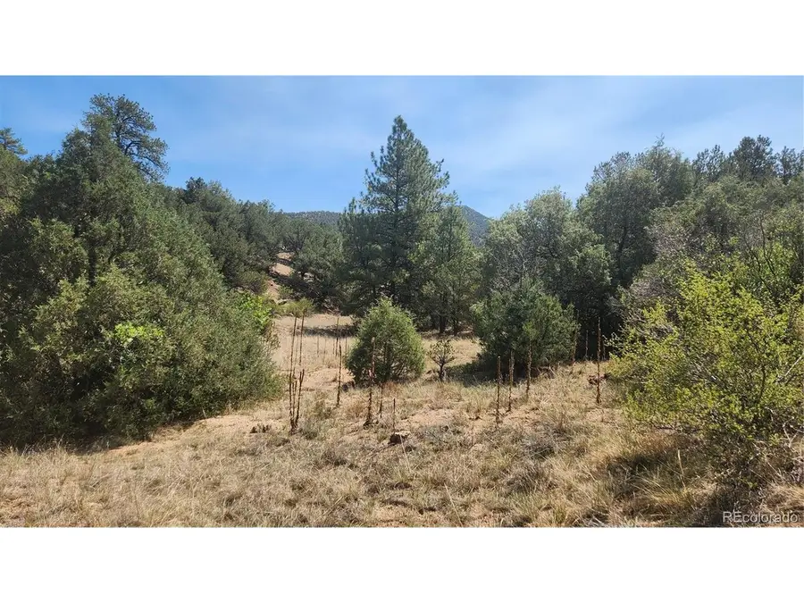 161 Ponderosa Ln, Cotopaxi, CO 81223 - #2