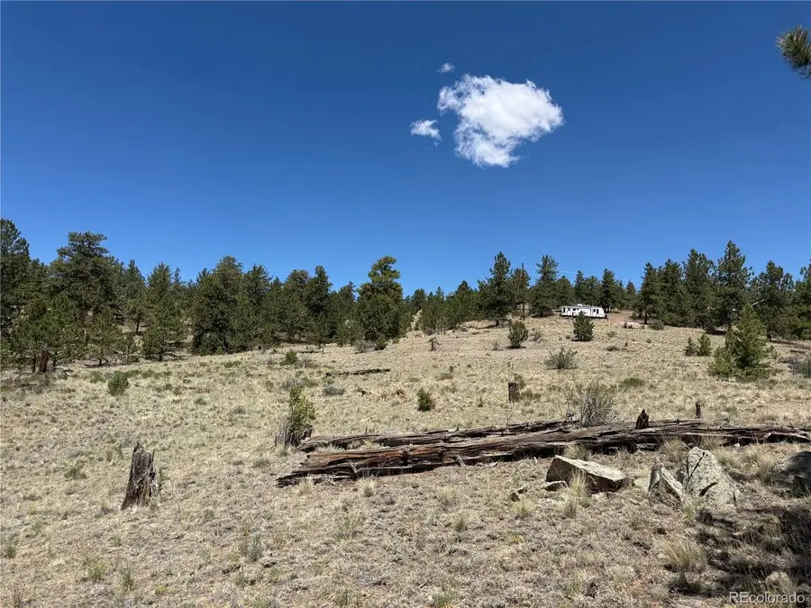 595 Bridle Path, Hartsel, CO 80449 - #2