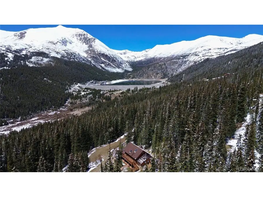 232 Goldfinch Pl, Alma, CO 80420 - #3