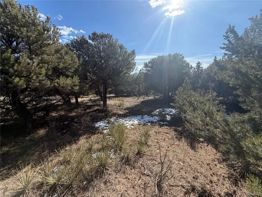 390 Cameron Pass Rd, South Fork, CO 81154 - #2