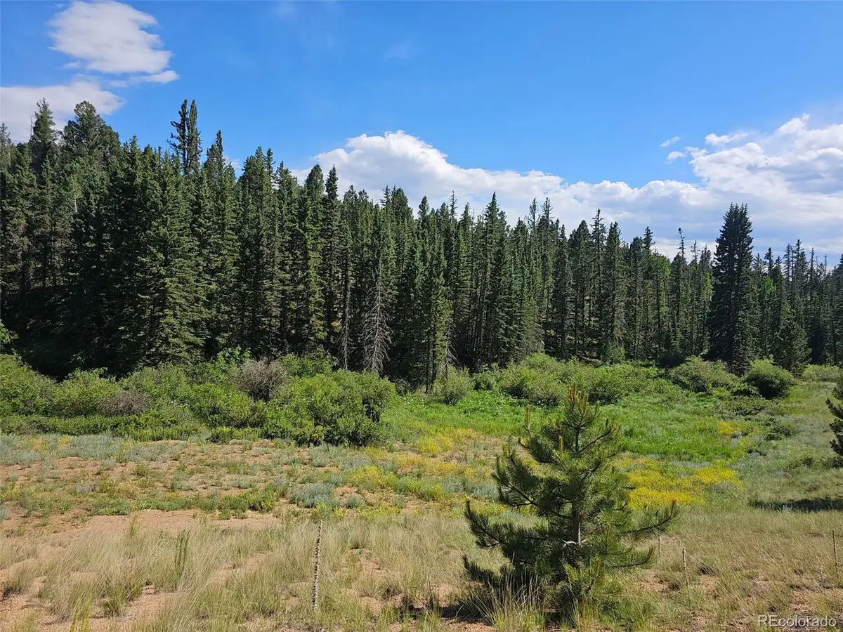 1164 Arapahoe Creek Trl, Florissant, CO 80816 - Image #1