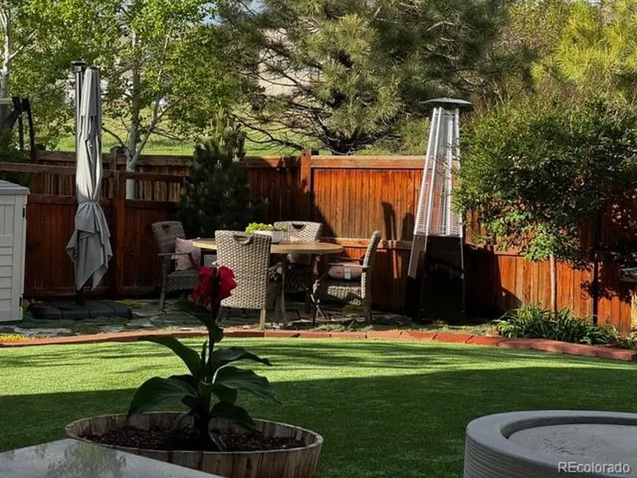 1994 Candleglow St, Castle Rock, CO 80109 - #2