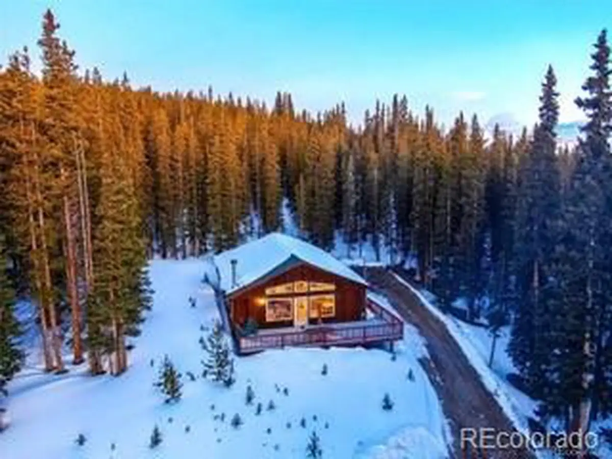1292 Valley Of The Sun Dr, Fairplay, CO 80440 - #1