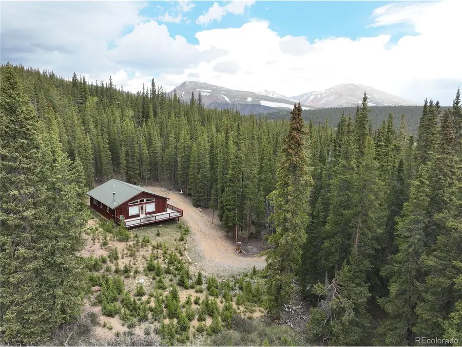 1292 Valley Of The Sun Dr, Fairplay, CO 80440 - #3