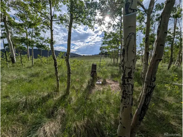 2433 Petito Dr, Fort Garland, CO 81133