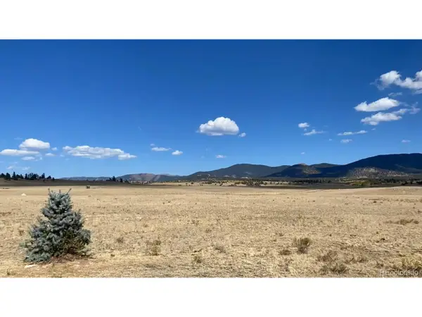 878 Cheyenne Trl, Hartsel, CO 80449