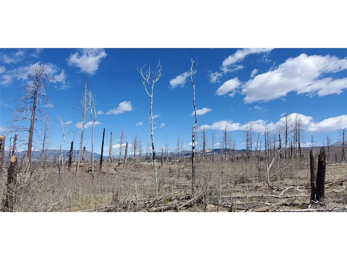 1228 Granville Loop, Fort Garland, CO 81133 - #1