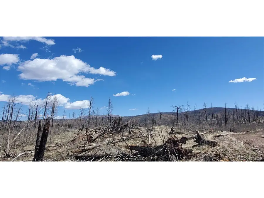 1228 Granville Loop, Fort Garland, CO 81133 - #3