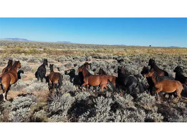 111 Tierra Blanca Ln, San Luis, CO 81152