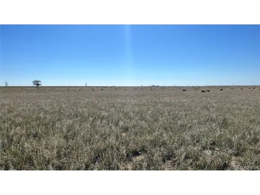 County 1 Ln, Boone, CO 81025 - #3