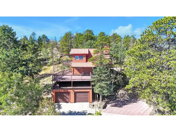 10197 Horizon View Dr, Morrison, CO 80465