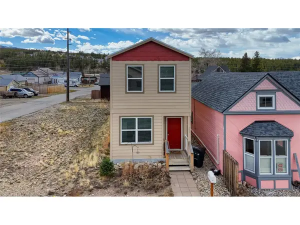 203 Chestnut St, Leadville, CO 80461