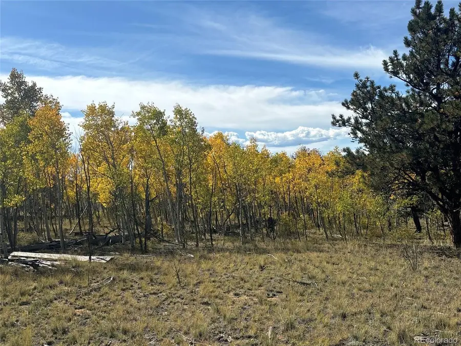 890 Mcdowell Dr, Jefferson, CO 80456 - #3