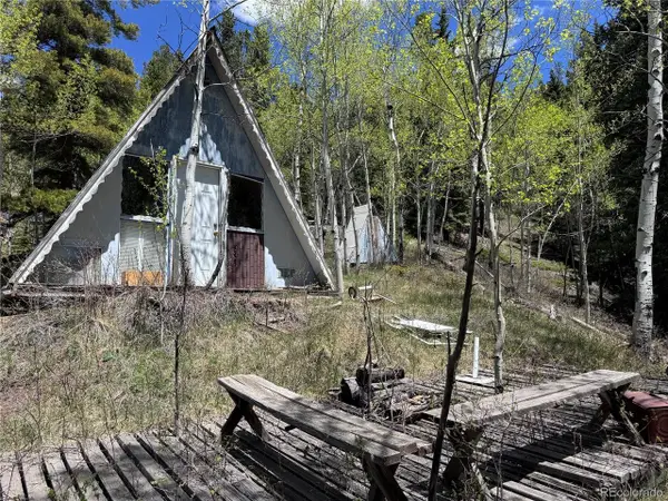 Address Withheld By Seller, Idaho Springs, CO 80452