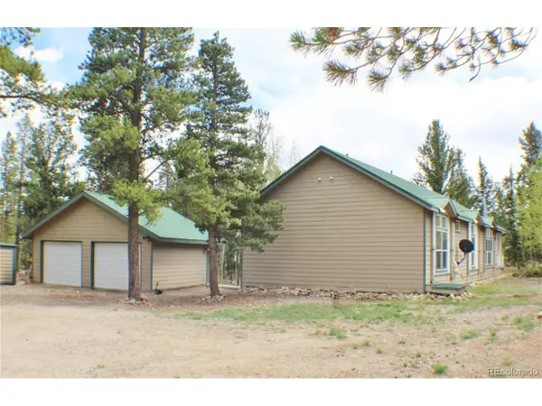 2095 Mullenville Rd, Fairplay, CO 80440