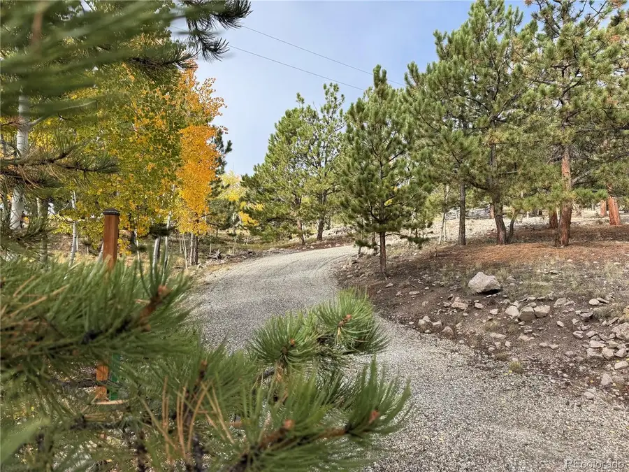 171 Whip Way, Hartsel, CO 80449 - #2
