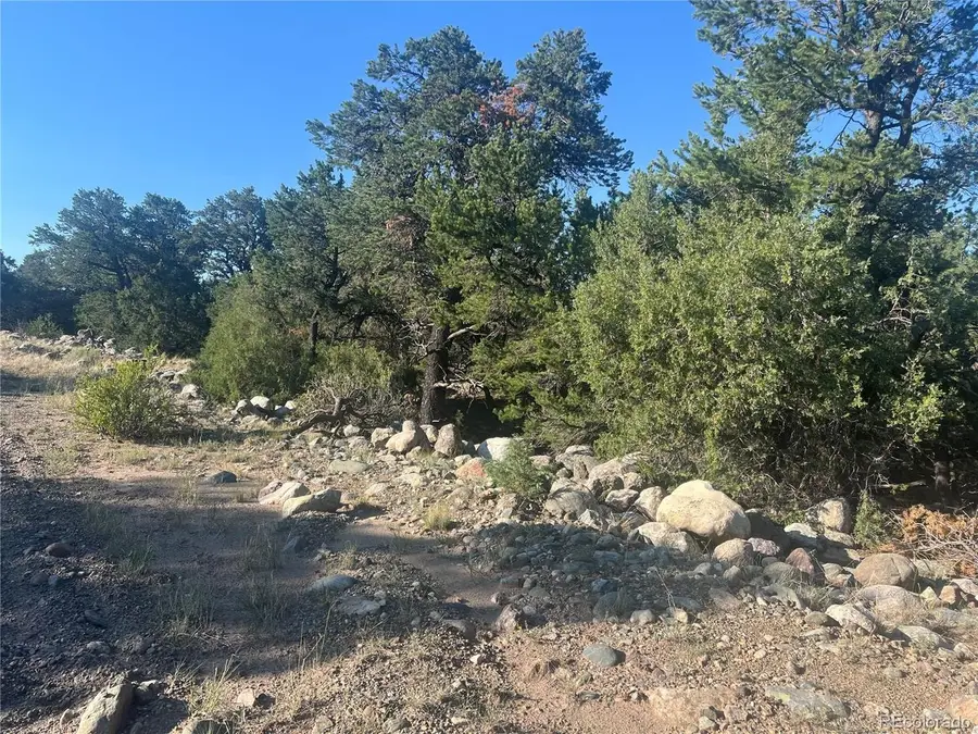 3641 Harmony Ct, Crestone, CO 81131 - #2